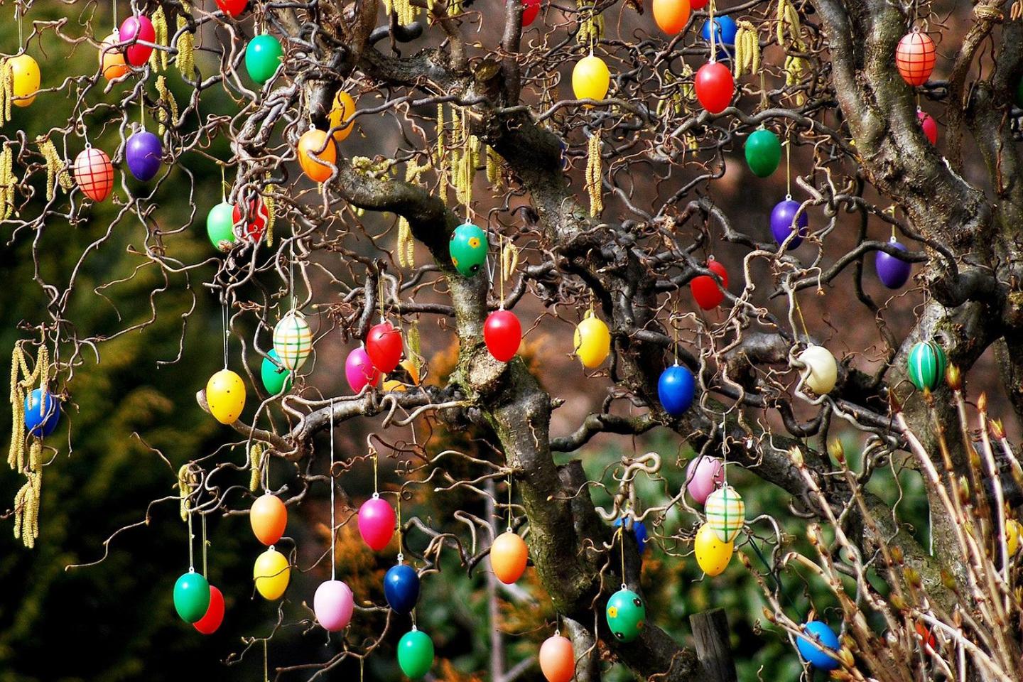 Ostereier am Strauch