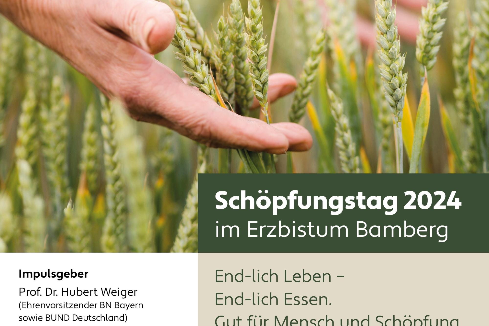 Plakat Diözesaner Schöpfungstag